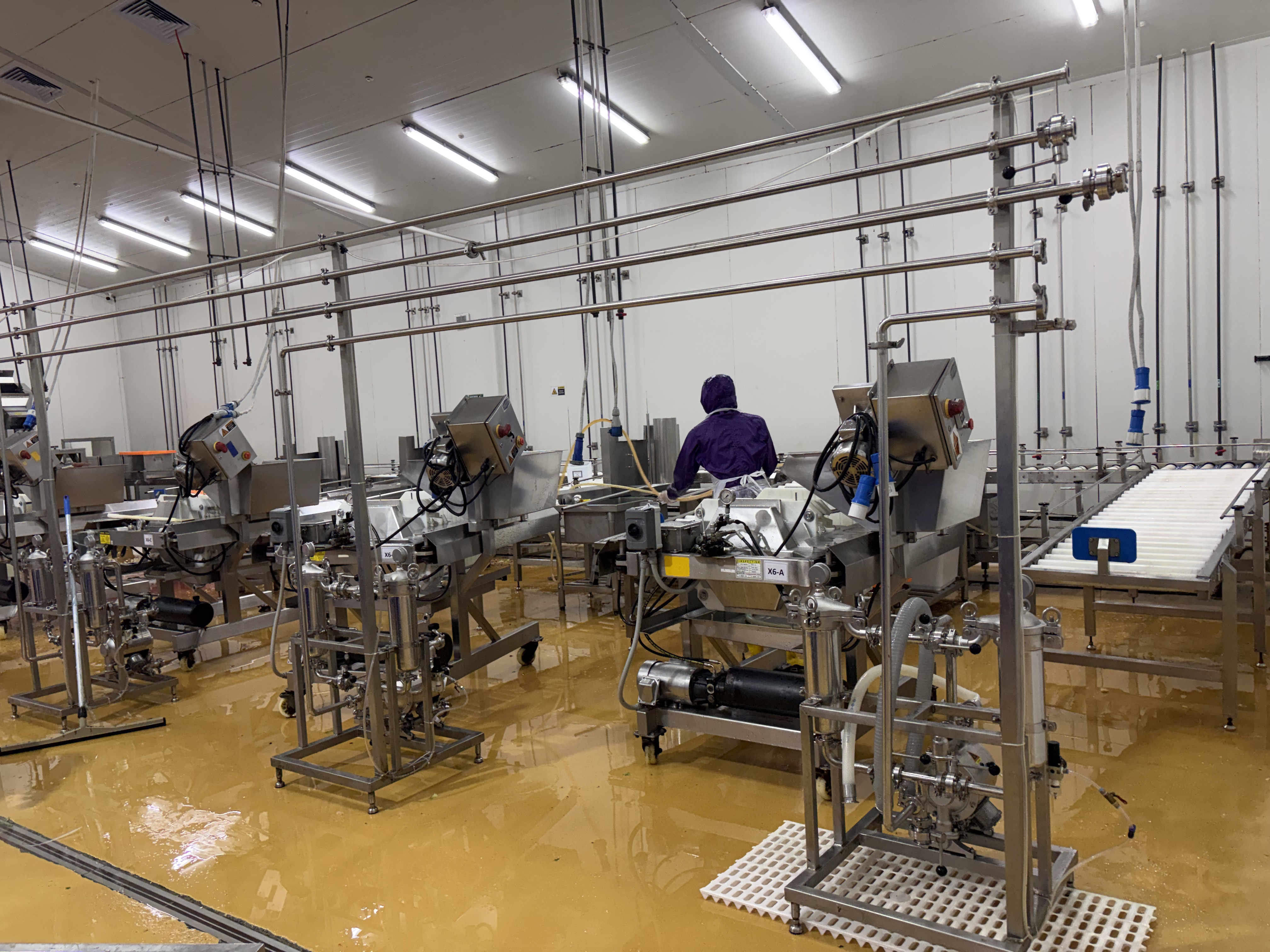 HPP Juice Production Line
