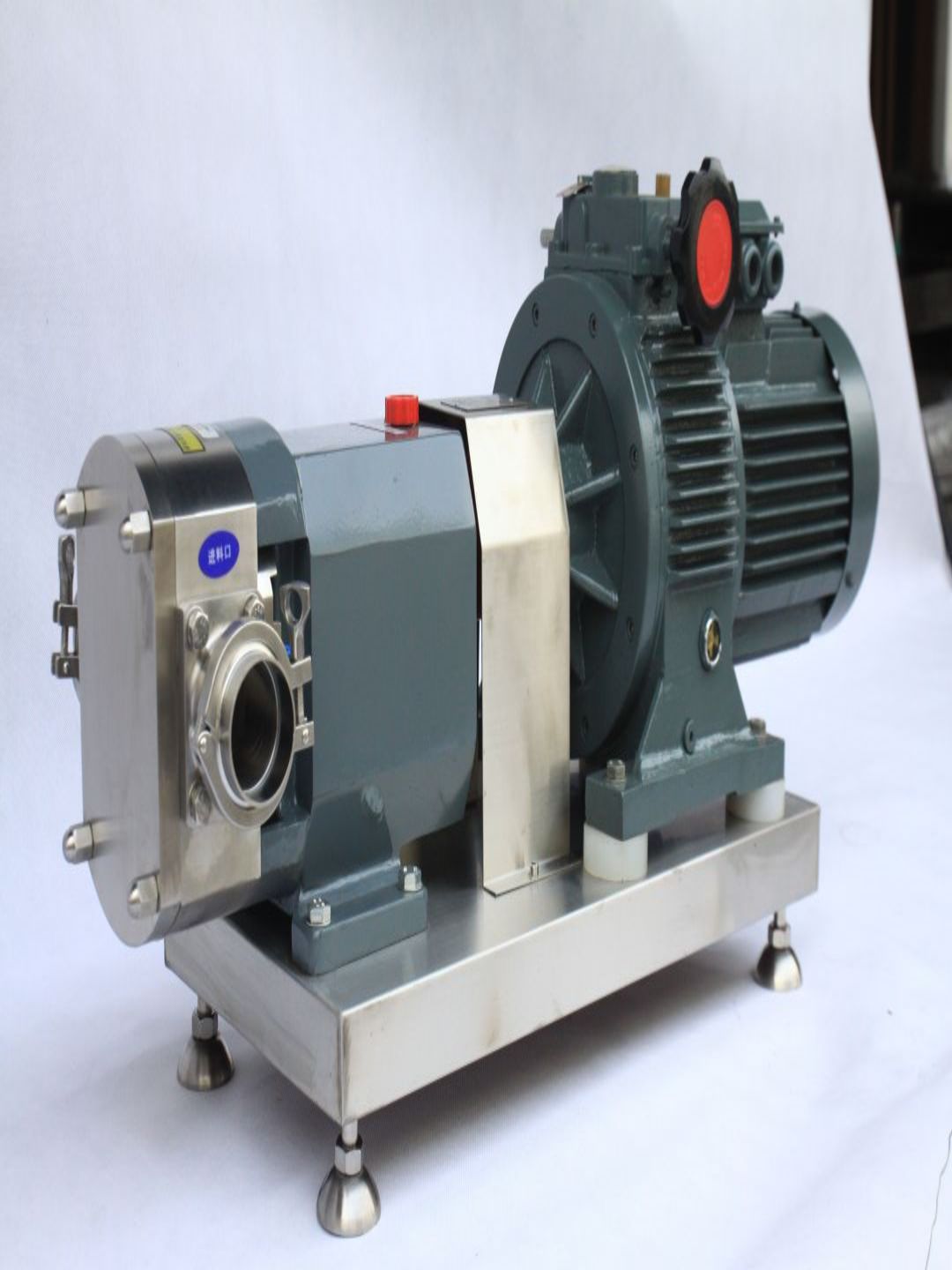 Pompa Lobe SS304/316L