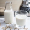 Industri Susu